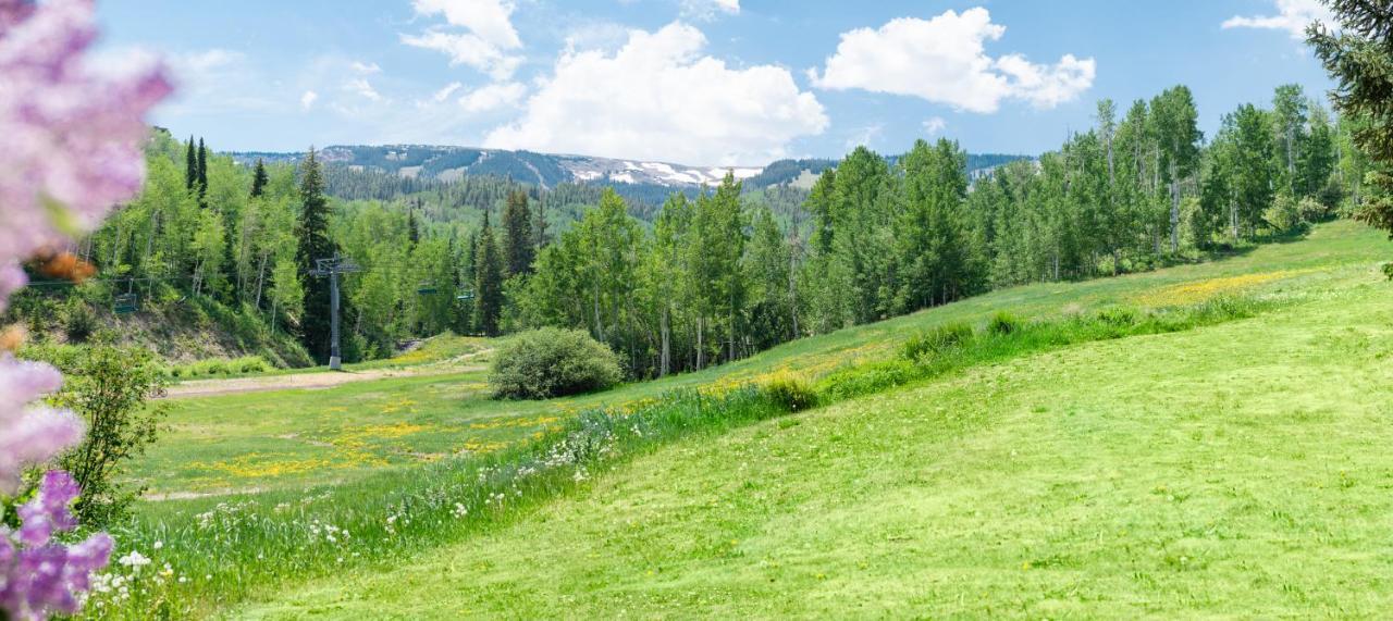 Laurelwood Condominiums Studio Premier Unit 408 Snowmass Village Exterior foto